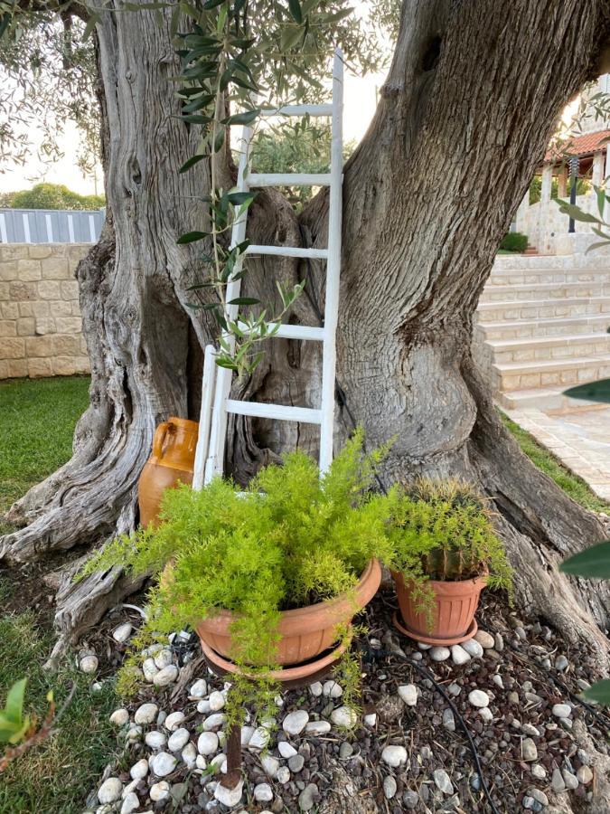 Trulli Del Relax Villa Castellana Grotte Exterior foto